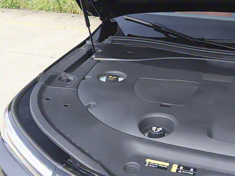 2025�� Ǭ�� Max 6��