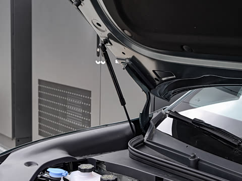 2025�� DM-i 205�캽Pro��