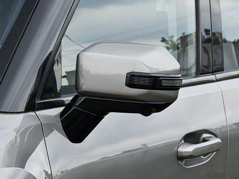 2025�� C-DM 208KM ��Ұ��