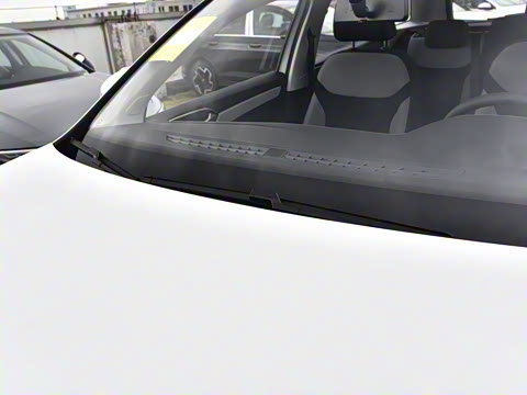 2026�� 280TSI �Զ��ȷ��