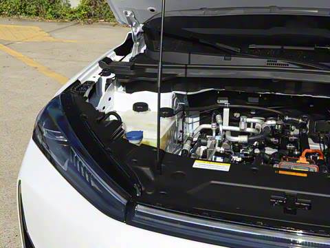 2025�� 518�����͹ھ���