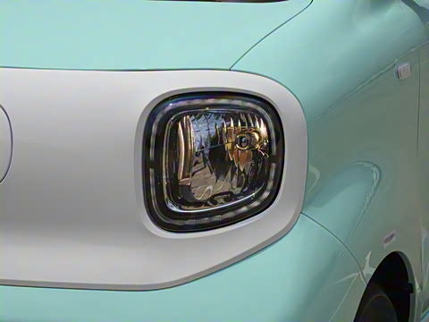 2026�� 222km ��ҫ��