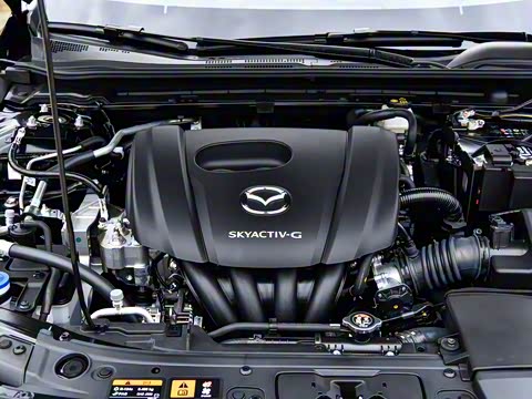 2025�� 1.5L �ֶ�������