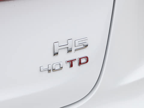 2026�� 2.0T �Զ��쳩Pro��