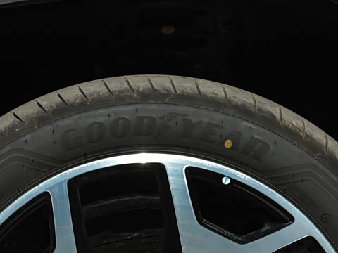 2025�� �����״��