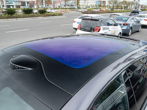 2026��   95������ Max��