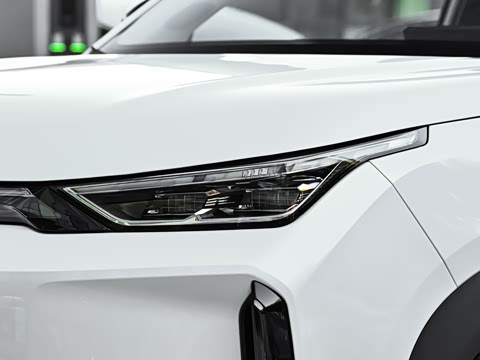 2026�� 650 ���װ�