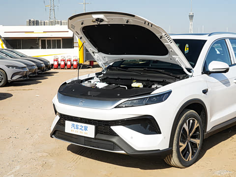 2026�� DM-i 220KM��Խ��