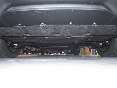 2025�� Pro ������