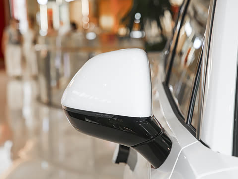 2025�� Pro ������