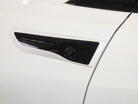 2025�� 520 ��ѡ��