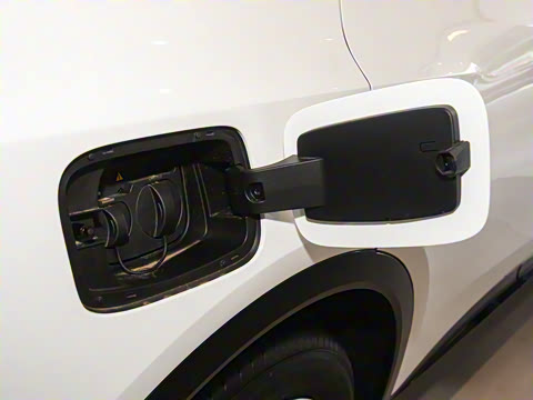 2025�� 520 ��ѡ��