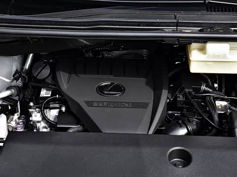 2025�� 500h ��������