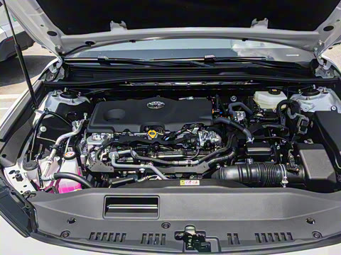 2026�� ˫�� 2.5HXS �˶�Plus��