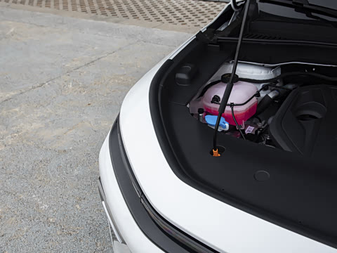 2026�� 220km �������������������