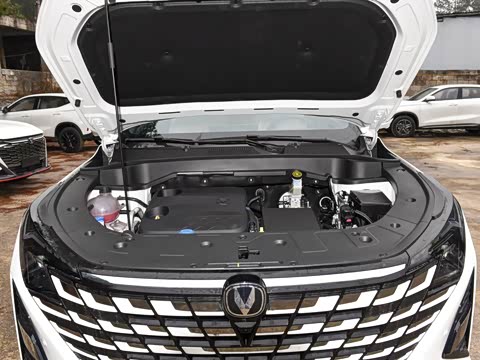 2026�� �ǻ������� 130km ս����