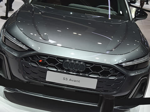 2025�� Avant