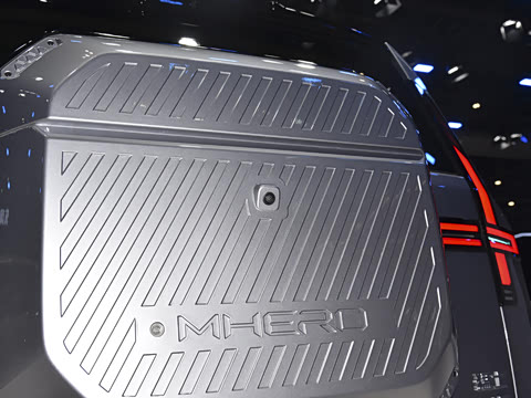 2025�� Max