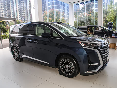 2025�� DM-i ��������