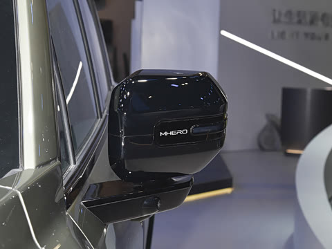 2025�� Pro