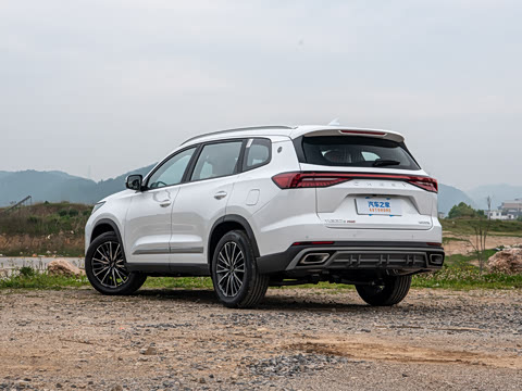 2026�� �ھ��� 290T ���������� 7��