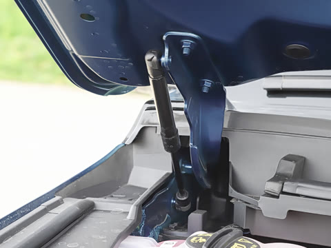 2025�� ̽Ұ�� 5��