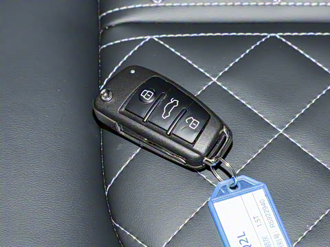 2025�� 35TFSI ��ȡ������