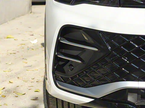 2026��  PRO 380TSI ���� R-Line �캽��