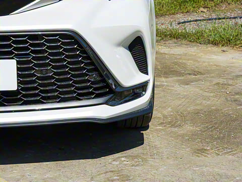 2026�� 2.5L�춯 ������