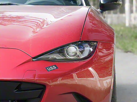 2025�� �ֶ��������� ī�����