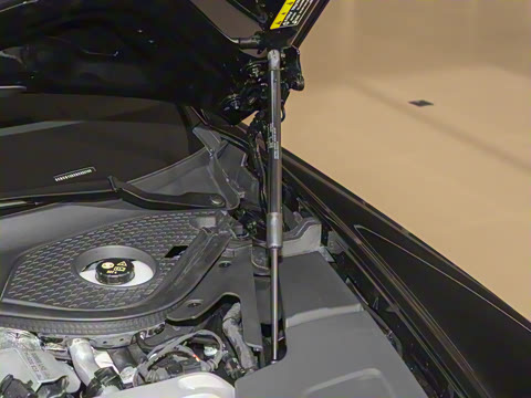 2025�� GT ���°�