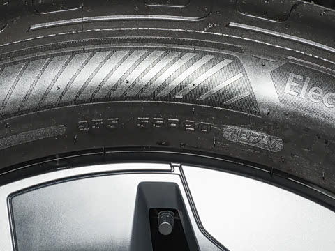 2025�� Pro ������