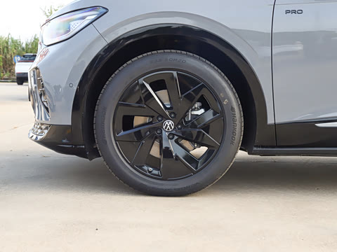 2025�� ������������ʿPRO��