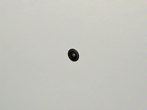 2026�� 215Max���̰�