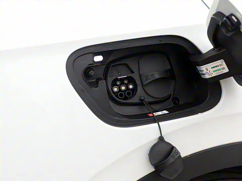 2026�� ������PURE