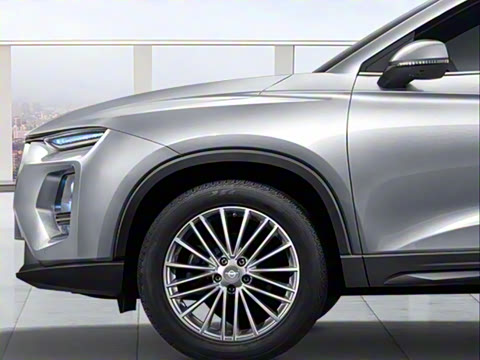 2020�� 1.6TGDI �Զ�������