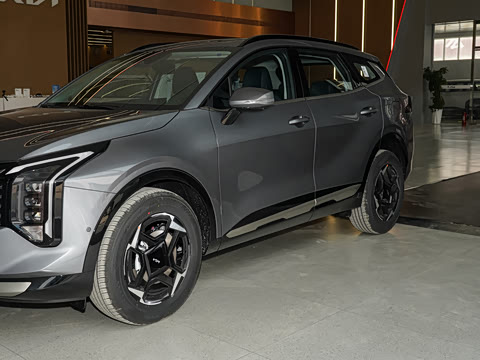 2026�� ����������