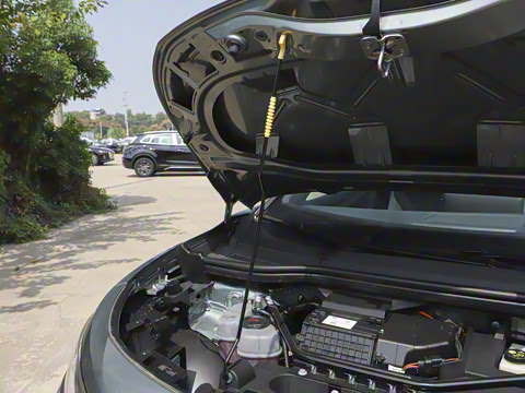 2026�� ������PURE