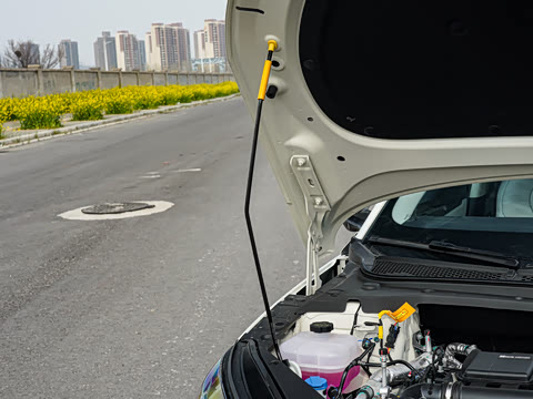 2026�� DM-i 210KM������