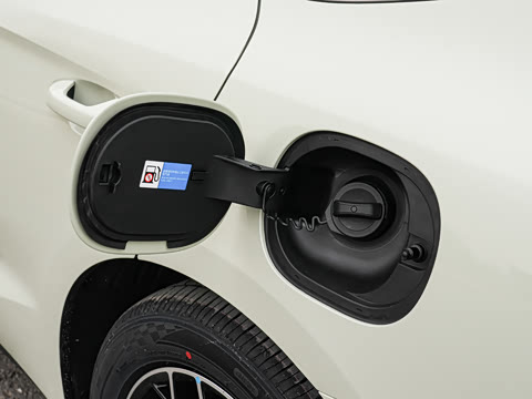 2026�� DM-i 210KM��Խ��