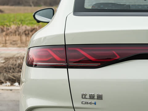 2026�� DM-i 210KM��Խ��