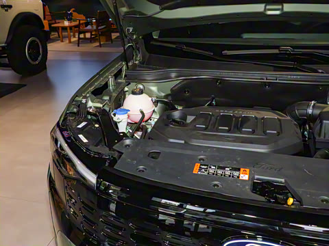 2025�� EcoBoost 170 ������