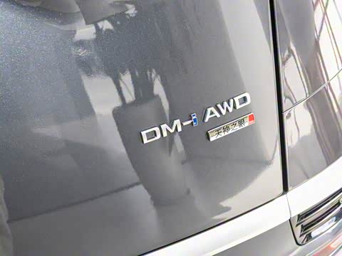 2025�� DM-i ��������