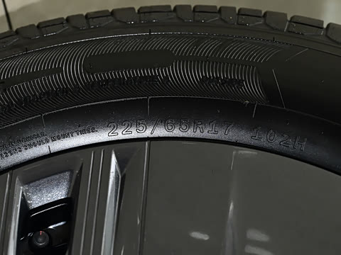 2025�� 530�캽��