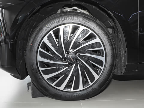 2025�� ���� 265 Max��������������ʻ