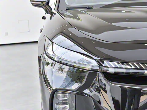 2024�� ������������