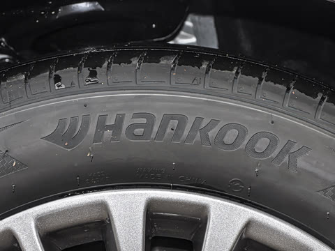 2026�� ˫�� 2.0HGVP ������