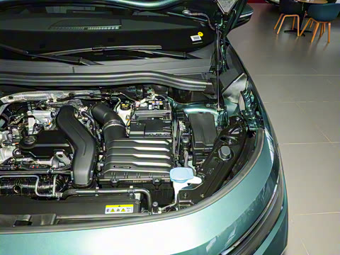 2025�� ̽��L 300TSI ������Ӣ