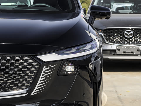 2026�� ����200 Pro�˶���