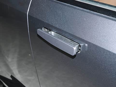 2025�� 205km Pro+�����״��